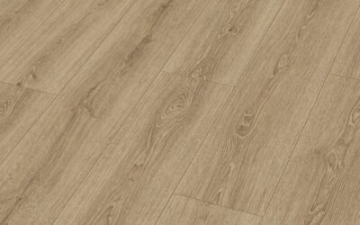 Preis 39,95 € 6983_MeisterDesign_DD_Perspektive-lpr